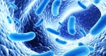 اهمیت میکروب های همزیست در سلامتی انسان، فلور میکروبی چیست؟